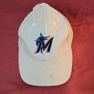 Official Florida sports team baseball caps